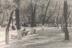 Г. Шуть. Центральный парк. Гл. аллея. Конец 1960-х